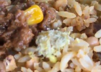 VÍDEO: Estudantes filmam larvas e tapurus em comida de R$ 20 em restaurante do IFRR de Caracaraí