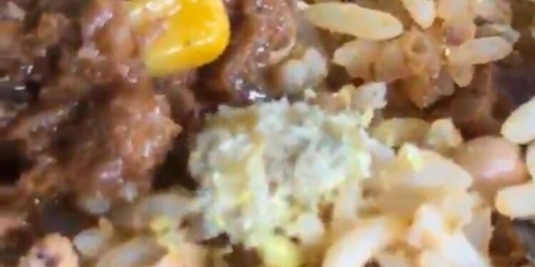 VÍDEO: Estudantes filmam larvas e tapurus em comida de R$ 20 em restaurante do IFRR de Caracaraí