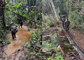 Exército refaz expedição histórica por rios e floresta até o Monte Caburaí, ponto mais ao Norte do Brasil