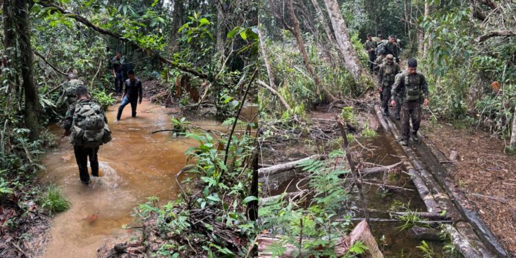 Exército refaz expedição histórica por rios e floresta até o Monte Caburaí, ponto mais ao Norte do Brasil
