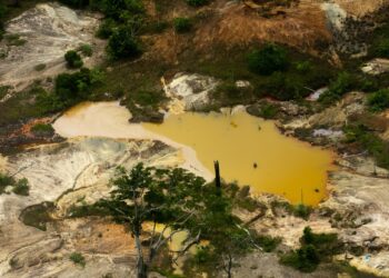 Área degradada pelo garimpo cai, mas atividade muda estratégia e segue na Terra Indígena Yanomami