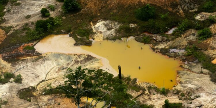Área degradada pelo garimpo cai, mas atividade muda estratégia e segue na Terra Indígena Yanomami