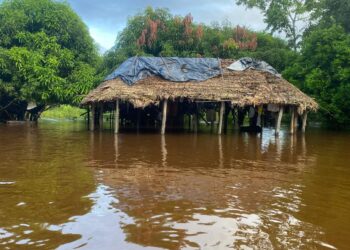 Rios transbordam com chuvas e isolam metade da população no município mais indígena do Brasil; FOTOS