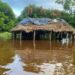 Rios transbordam com chuvas e isolam metade da população no município mais indígena do Brasil; FOTOS