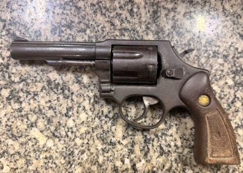 Homem é preso após PM encontrar arma escondida na casinha de cachorro em Boa Vista