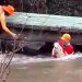 VÍDEO: Bombeiros salvam cachorro arrastado por correnteza em RR